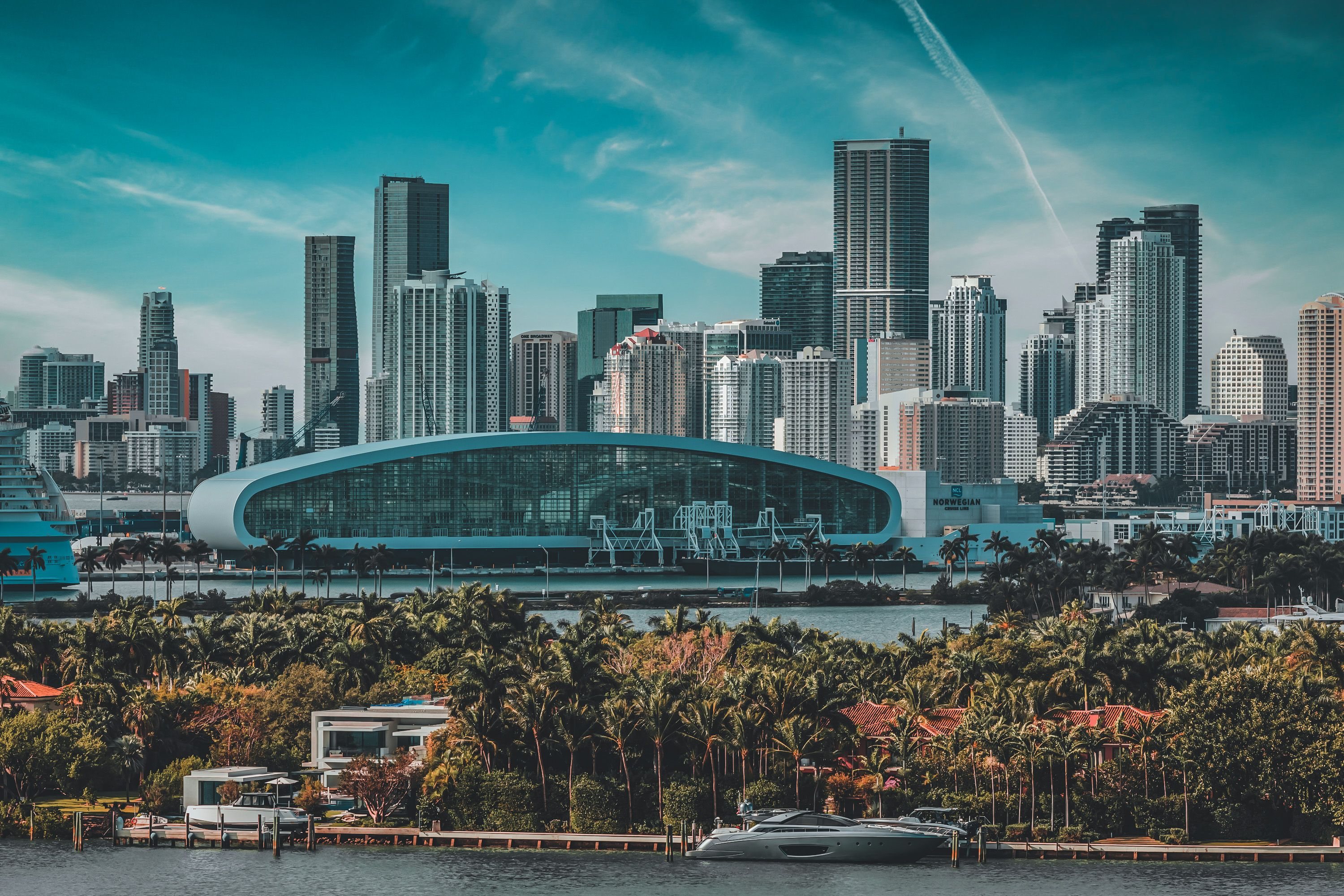 Perfil de edificios de Miami junto a la bahía, con palmeras en primer plano